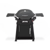 Weber Q2800N+ Gas Grill Charcoal Grey with Stand