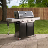 Weber Genesis E315 - Image 2
