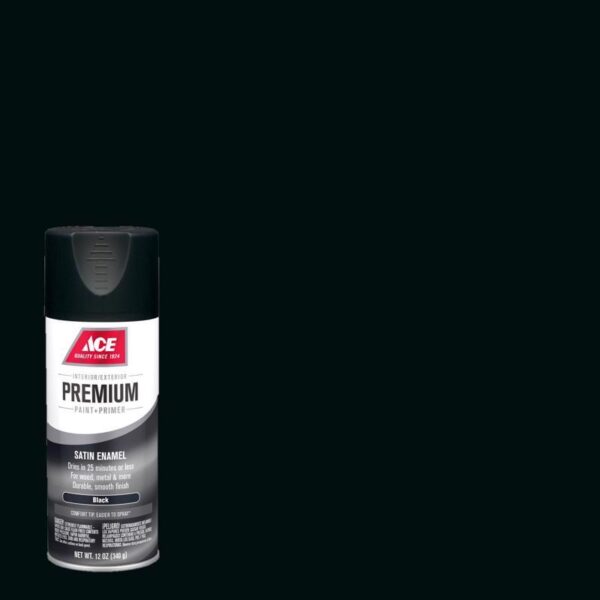 Ace Premium Spray Paint Stain Black - Image 2