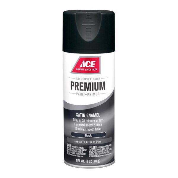 Ace Premium Spray Paint Stain Black